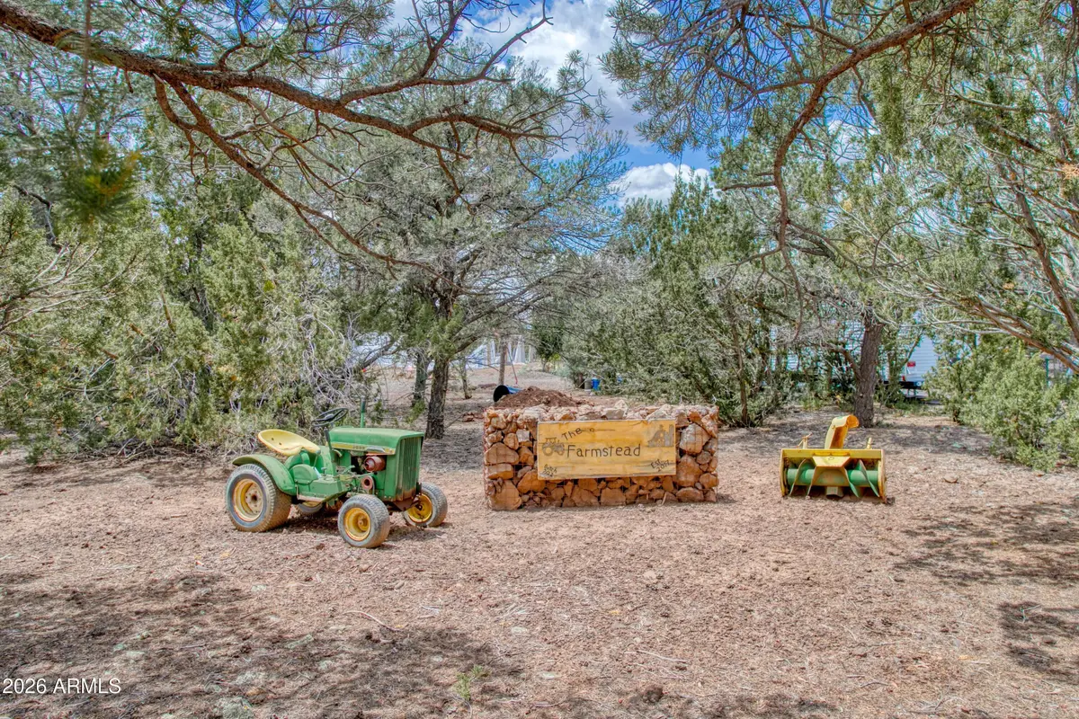 21 N3095 -- #2, Show Low, AZ 85901 - #1