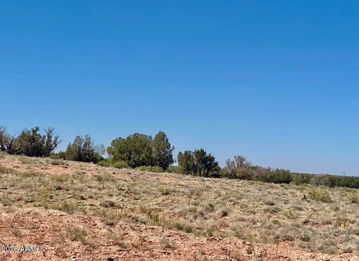 2144 Itasca Trail, Heber, AZ 85928 - #1