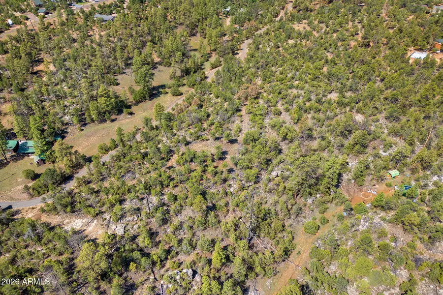 1794 Canyon Drive, Heber, AZ 85928 - #3