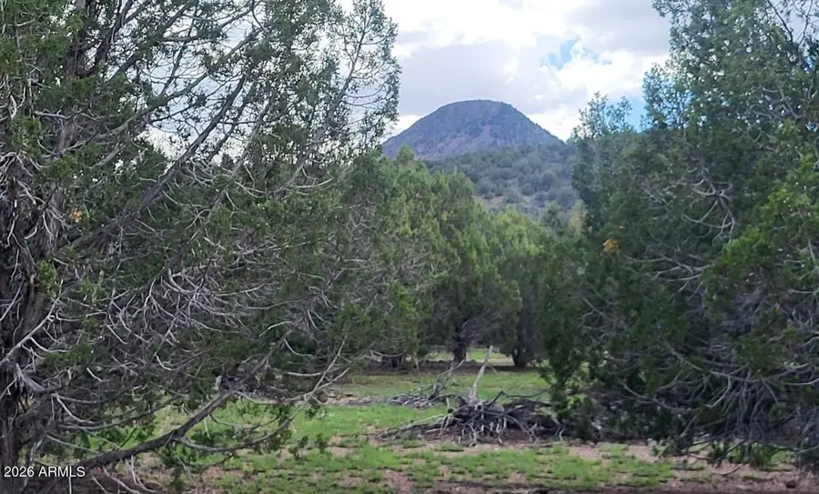 111 N Ranch Road #111, Williams, AZ 86046 - #3