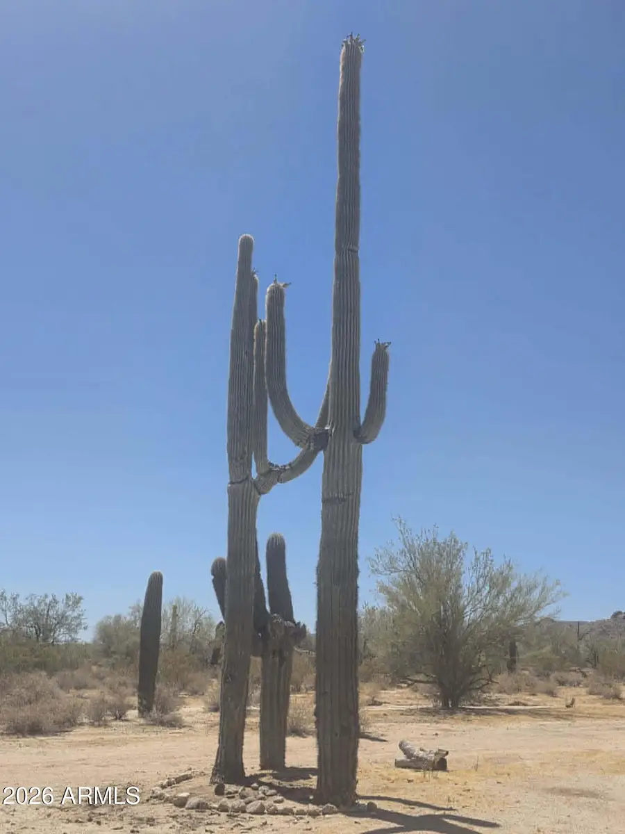 1523 S Warren Road #81, Maricopa, AZ 85139 - #2