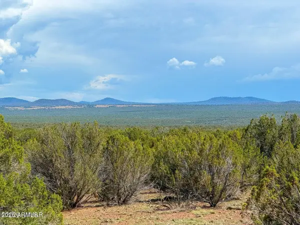 0 Gample Ln 13 Acres (lot A) --, Show Low, AZ 85901