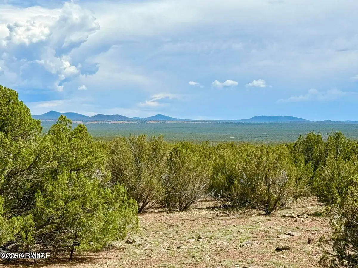 0 Gample Ln 13 Acres (lot B) --, Show Low, AZ 85901 - #1