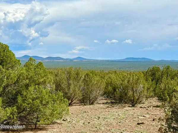 0 Gample Ln 13 Acres (lot B) --, Show Low, AZ 85901