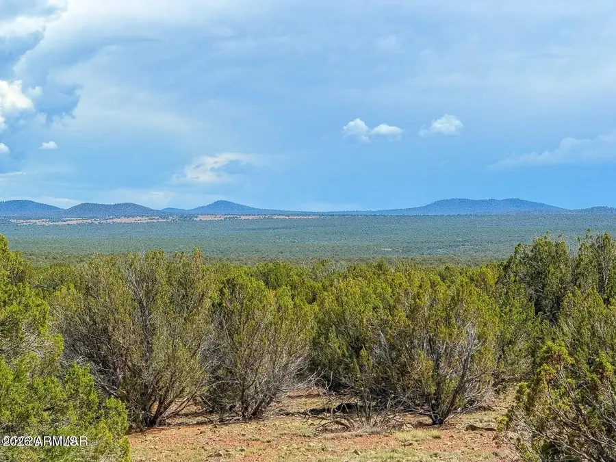0 Gample Ln 13 Acres (lot C) --, Show Low, AZ 85901 - #2