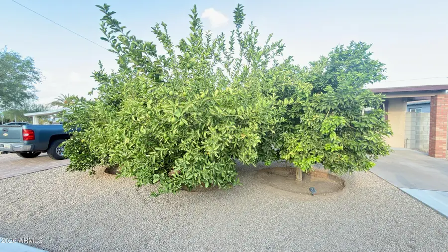 11427 N 112th Drive, Youngtown, AZ 85363 - #3