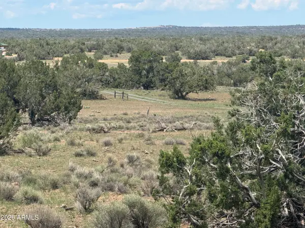 Lot 19 Red Sky Ranch -- #19, Sanders, AZ 86512