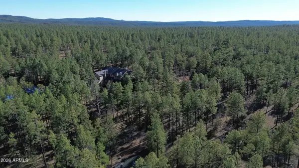 2849 S Timber Pine Lane #5, Pinetop-Lakeside, AZ 85929