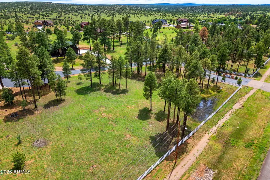 2254 Brown Bear Circle #1, Overgaard, AZ 85933 - #3