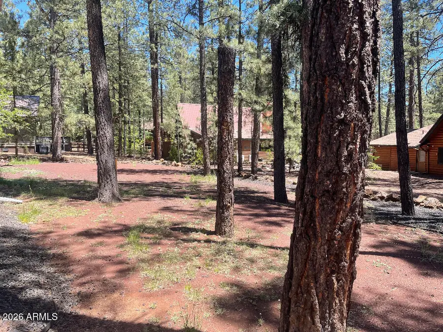 8239 Buck Springs Road, Pinetop, AZ 85935 - #3