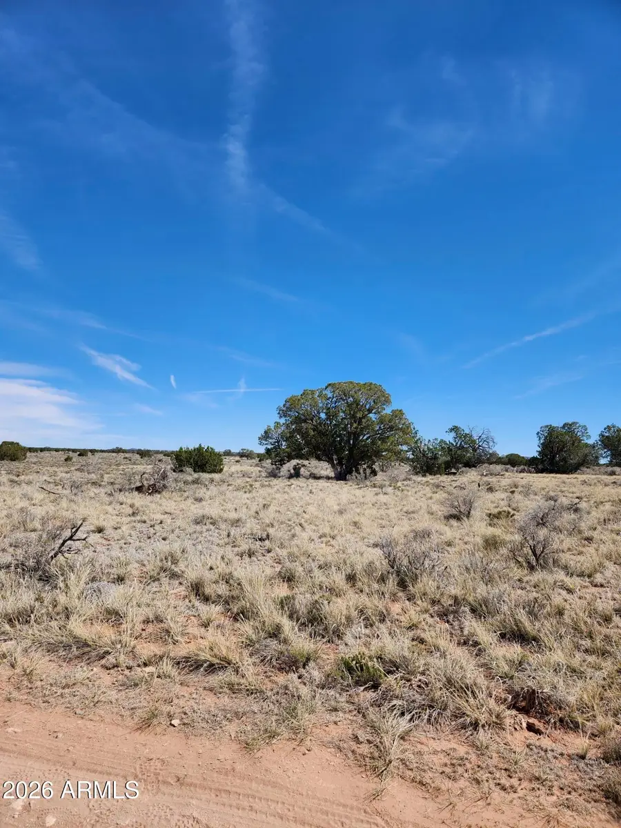 721 S Wyandotte Road #243, Williams, AZ 86046 - #2