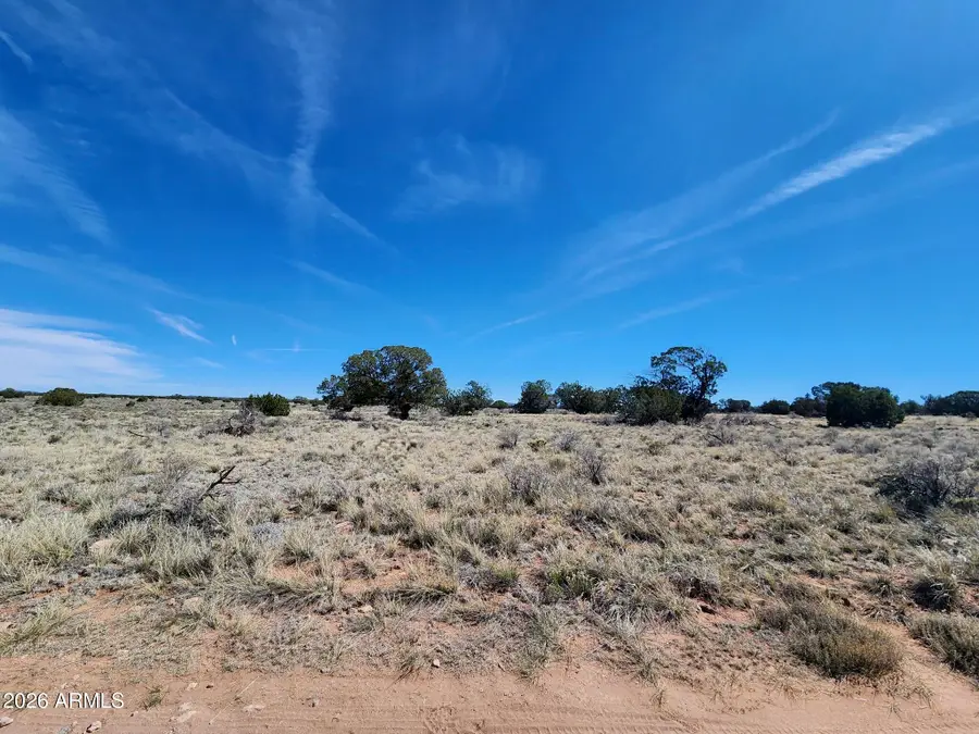 721 S Wyandotte Road #243, Williams, AZ 86046 - #3