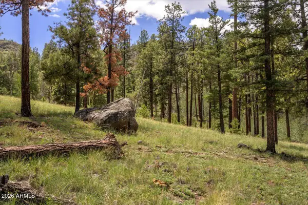 14 County Road N1062 -- #15, Greer, AZ 85927