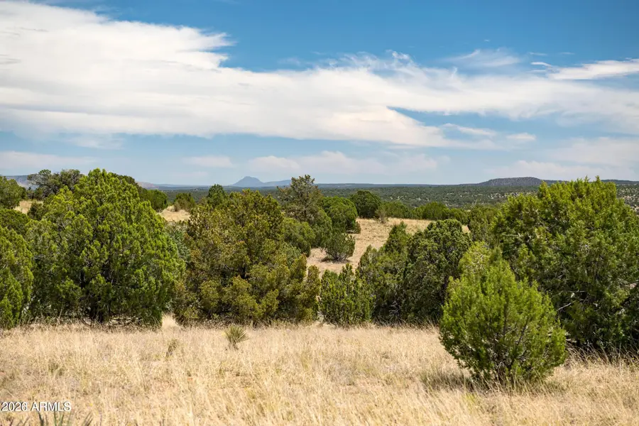 B Pine Ridge Road -- #50, Seligman, AZ 86337 - #3