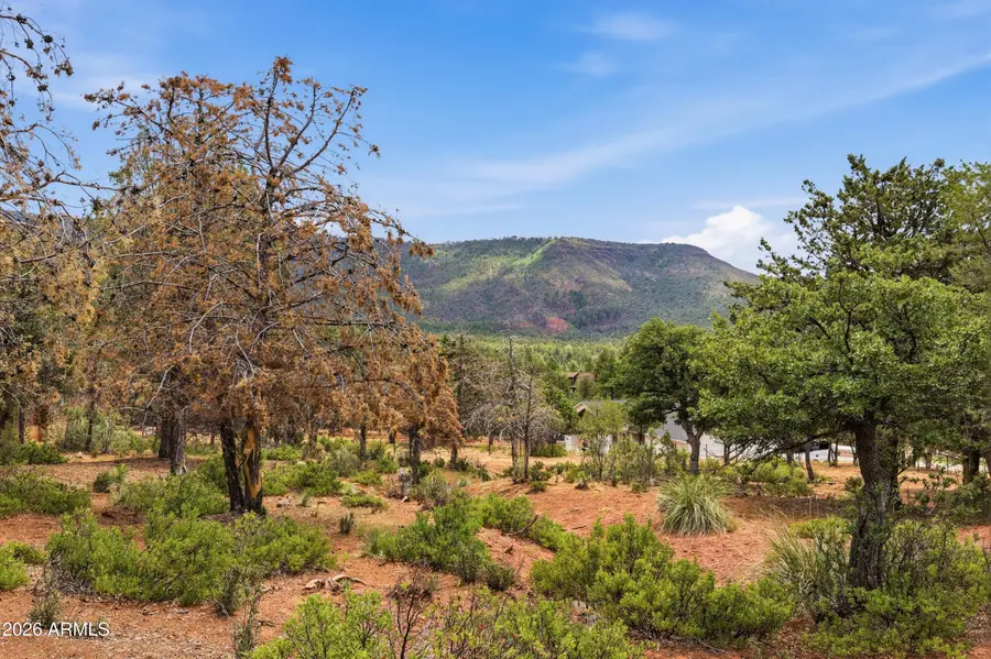 20 W Hidden Pines Loop #20, Pine, AZ 85544 - #2