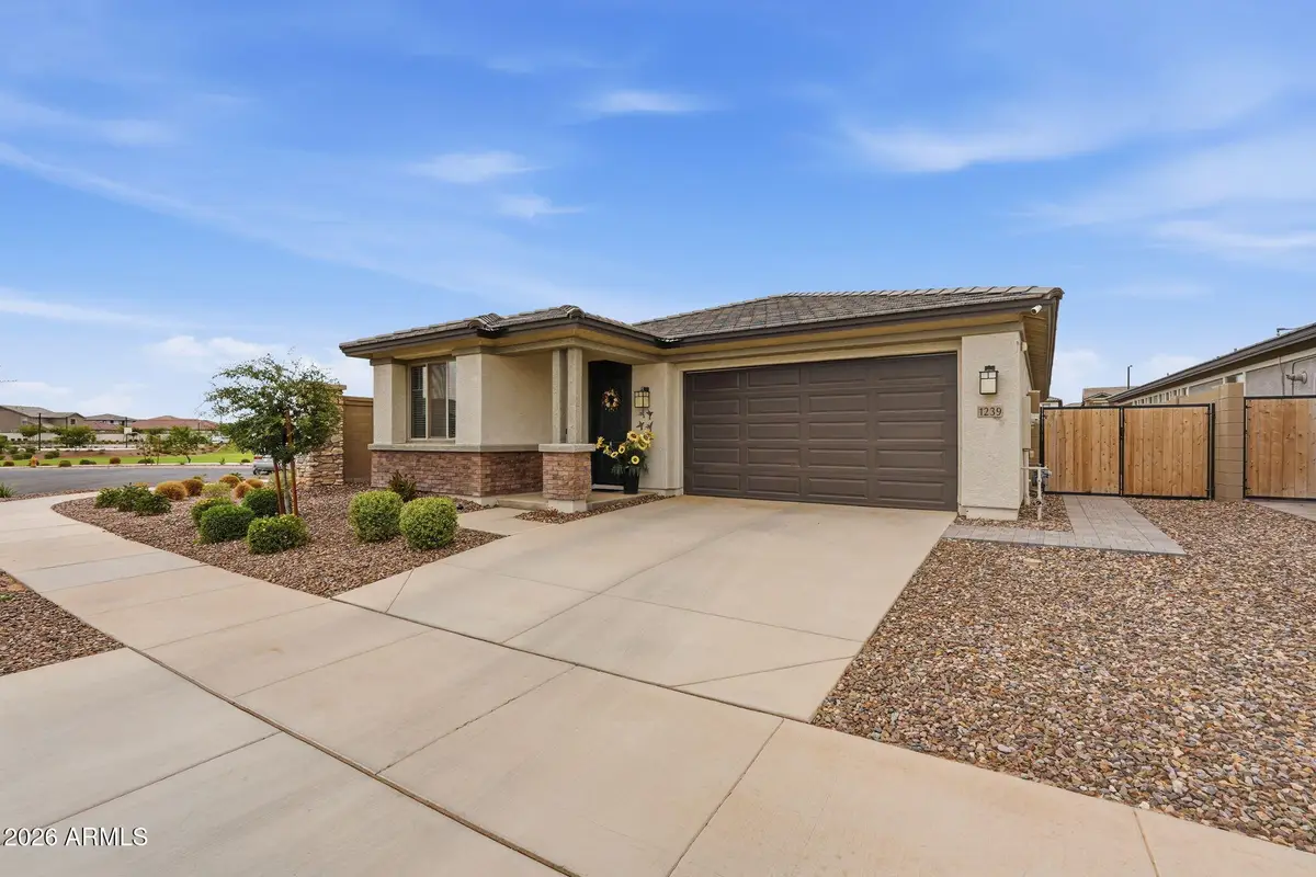 1239 W Macaw Court, San Tan Valley, AZ 85140 - #1