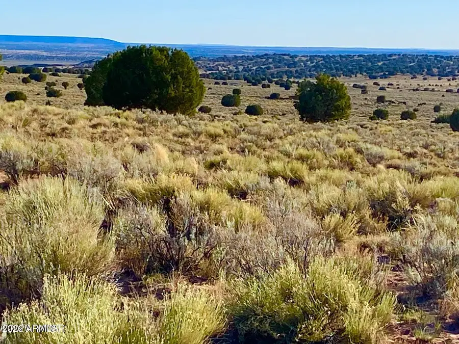 River Meadows Ranch Unit 3 Lot 204 --, Concho, AZ 85924 - #2