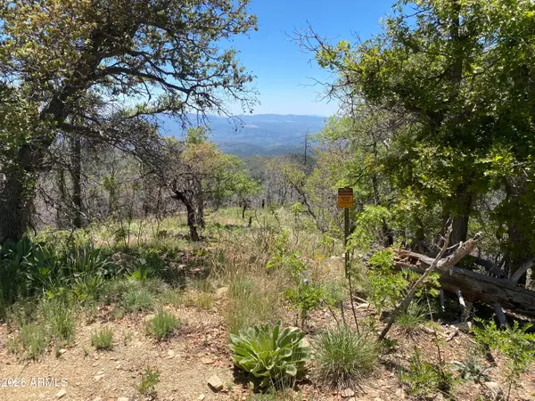 1002 S Turkey Trot Trail, Prescott, AZ 86303