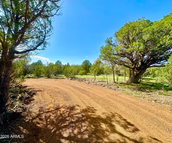 18 N3573 --, Vernon, AZ 85940
