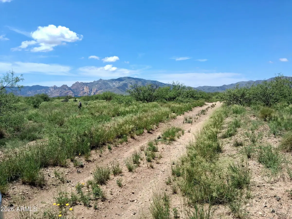LOT 10 Oracle -- #10, Cochise, AZ 85606 - #1