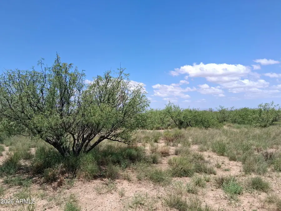 LOT 10 Oracle -- #10, Cochise, AZ 85606 - #2