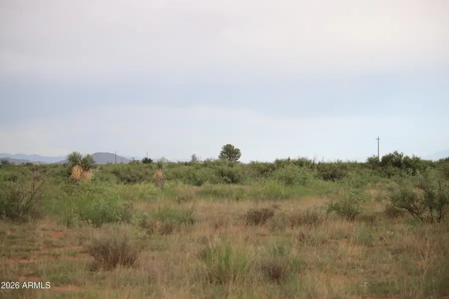 TBD S Arzberger Road, Willcox, AZ 85643 - #3