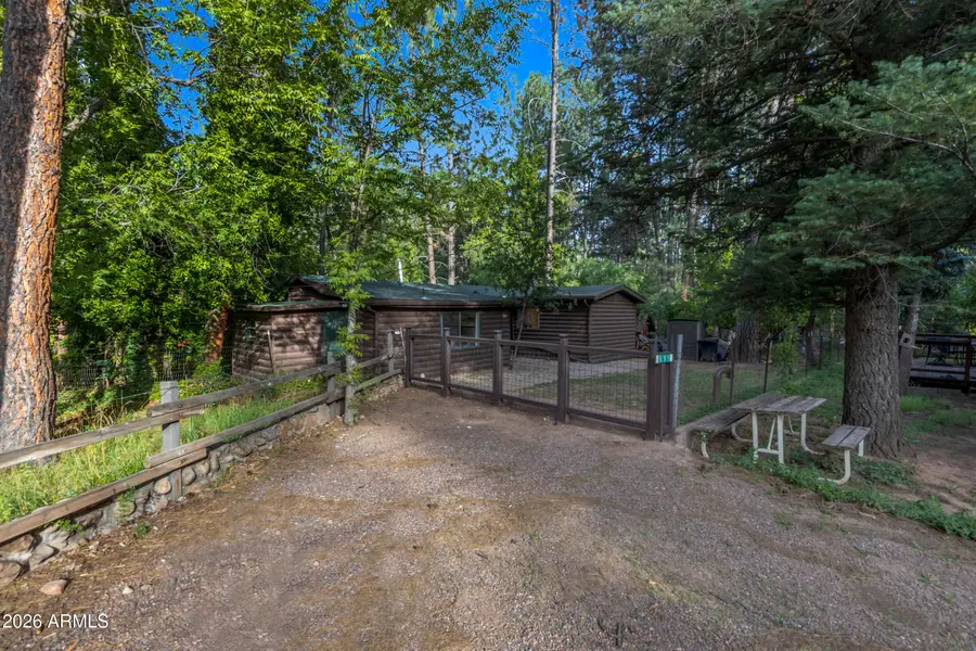 695 S Meadow Lane, Payson, AZ 85541 - #2