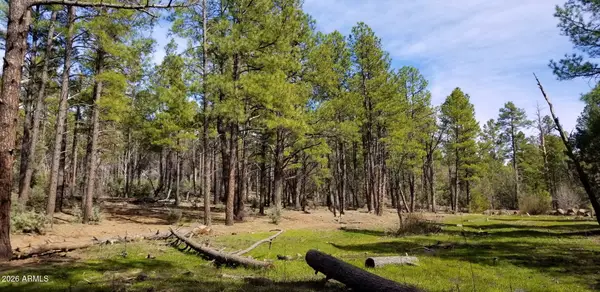 2259 E T Bear Trail #'-', Lakeside, AZ 85929