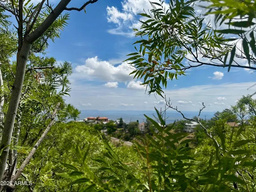 View Lot Main Street #23,25, Jerome, AZ 86331 - #2