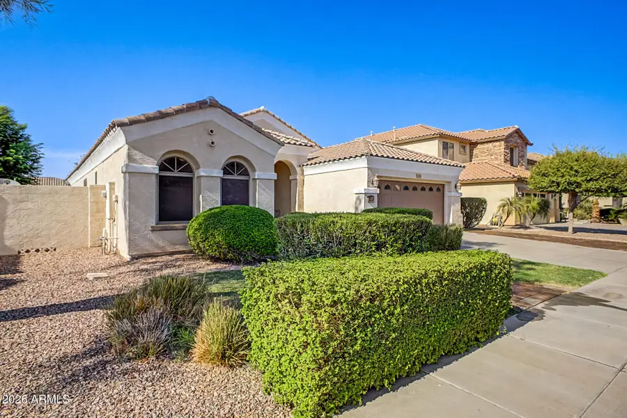 2094 E Ebony Drive, Chandler, AZ 85286 - #2