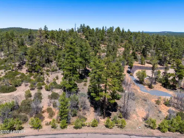 6007 Rim Road #066, Lakeside, AZ 85929