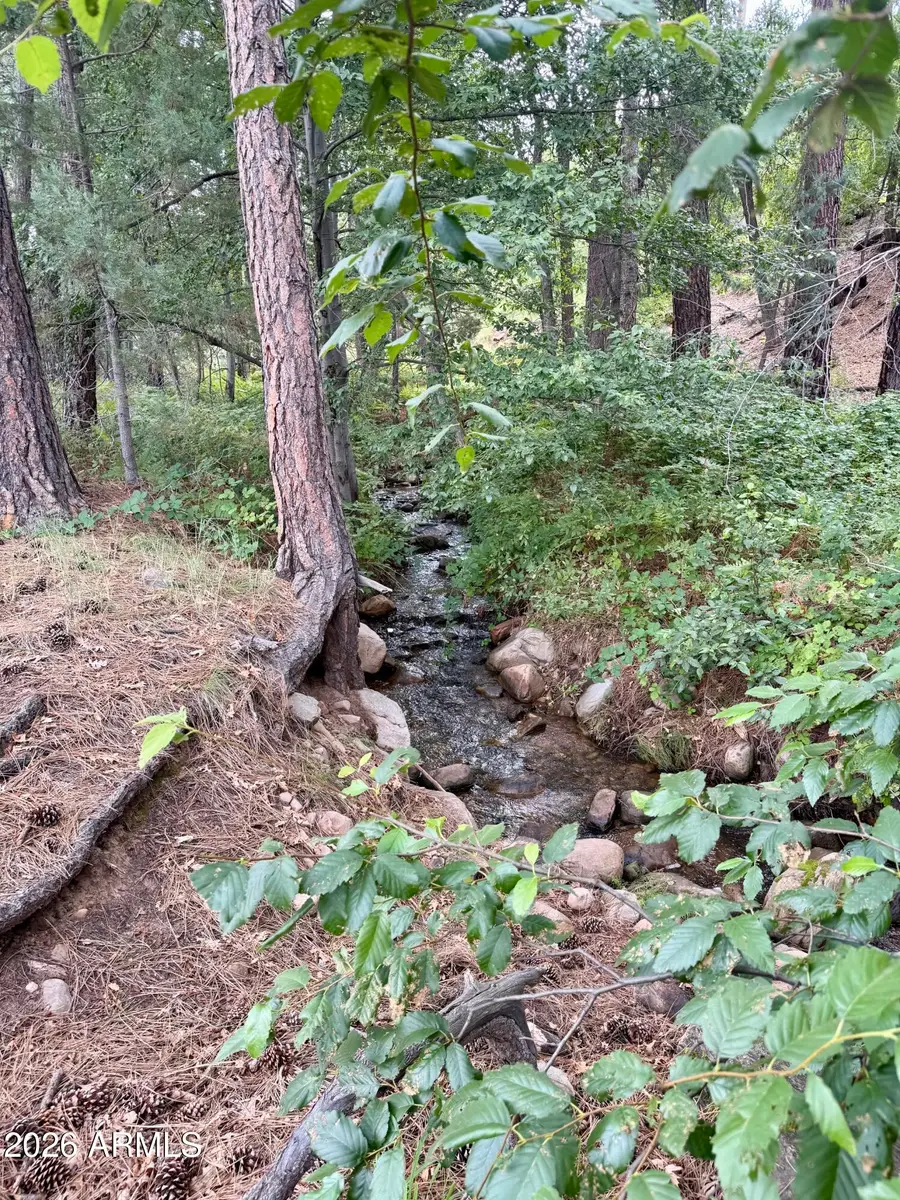 165 W Burnt Point Trail #1, Payson, AZ 85541 - #2