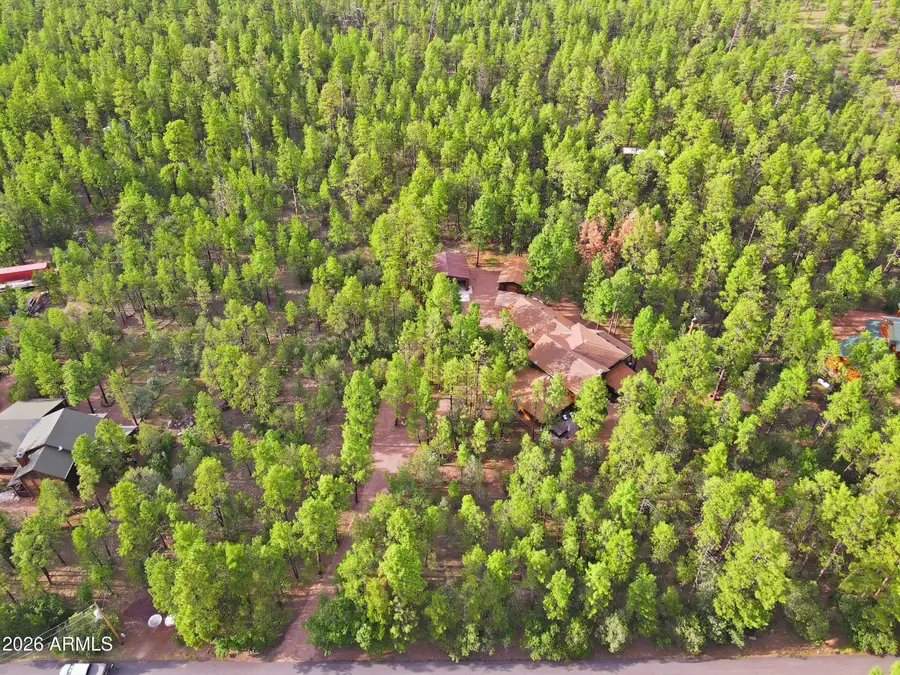94 W Pine Ridge Drive, Lakeside, AZ 85929 - #2
