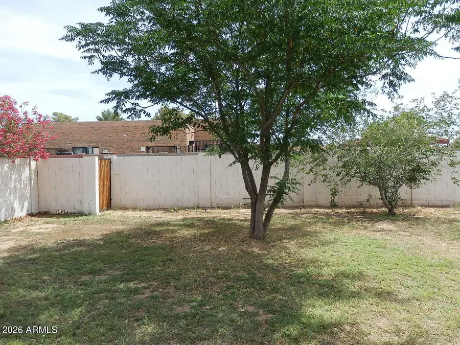 203 S 132nd Street, Chandler, AZ 85225 - #3