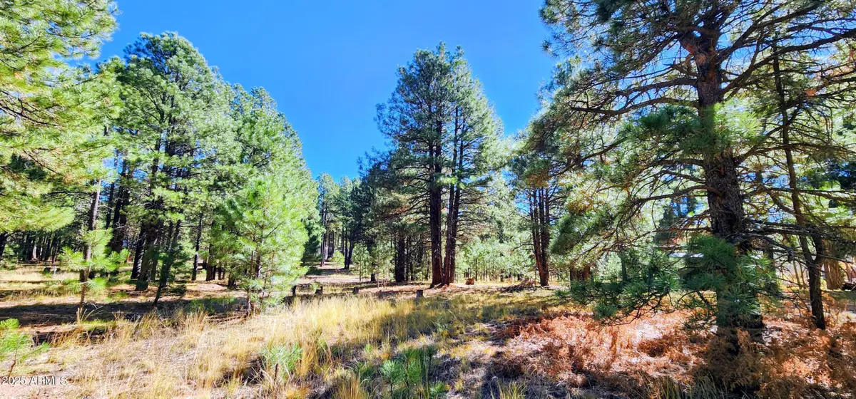 1958 Ferret Circle #260, Forest Lakes, AZ 85931 - #1