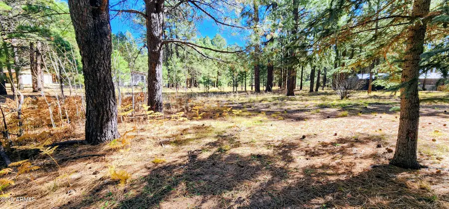 1958 Ferret Circle #260, Forest Lakes, AZ 85931 - #2