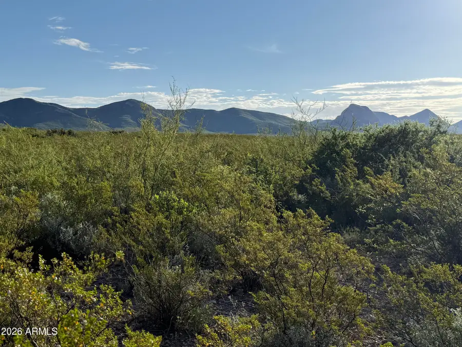 0 Valley Springs #64, Douglas, AZ 85067 - #2