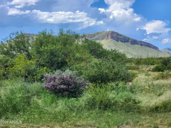 lot 5 E Highway 82 -- #2, Huachuca City, AZ 85616