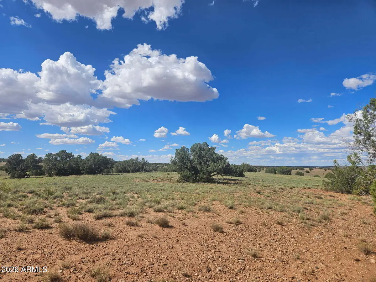 144 N County Road 9027 -- #47, Concho, AZ 85924 - #1