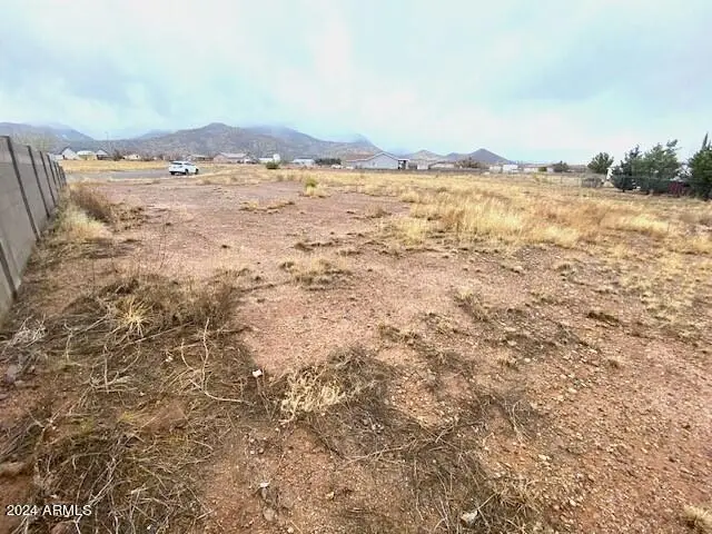TBD Elmer Loop #69, Hereford, AZ 85615 - #3
