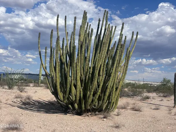 810 W Rasmussen Road #'-', Ajo, AZ 85321
