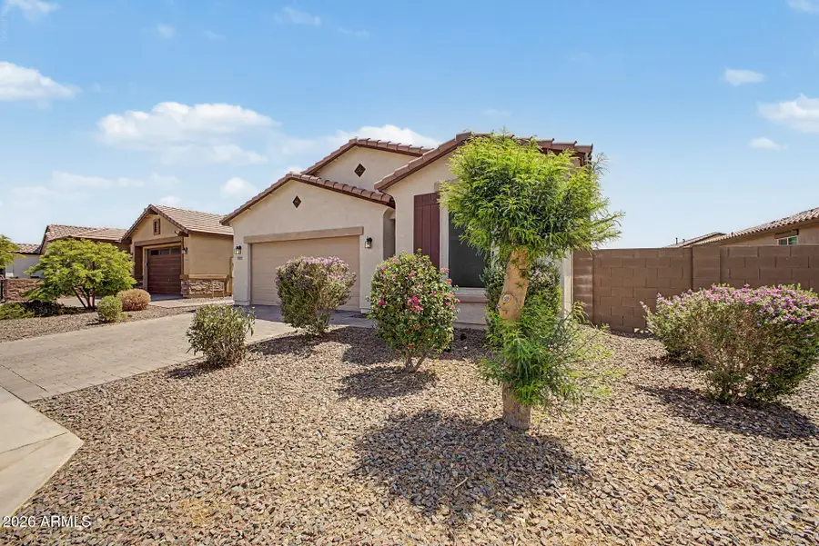 10817 W Hadley Street, Avondale, AZ 85323 - #3