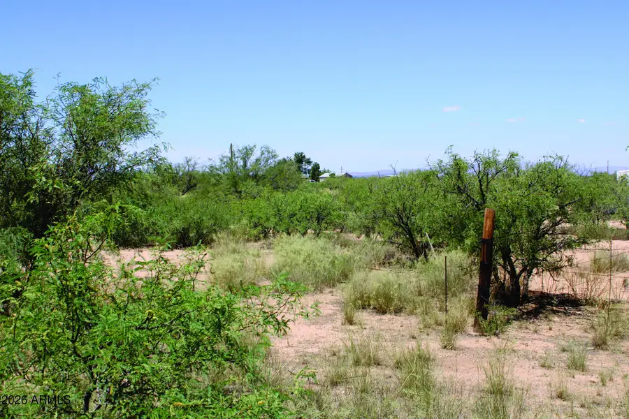 5 Acres E Papago Way #310, Cochise, AZ 85606 - #2
