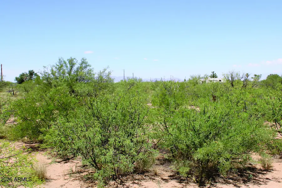 5 Acres E Papago Way #310, Cochise, AZ 85606 - #3