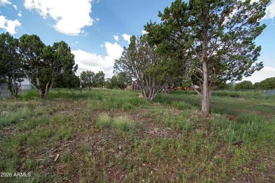 8497 Canyon Drive #28, Show Low, AZ 85901 - #2