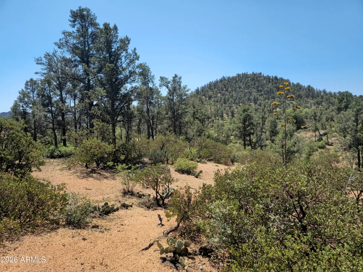 2400 E Rim Club Drive #105, Payson, AZ 85541 - #1