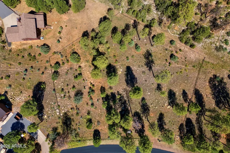 2294 Constellation Lane #94, Overgaard, AZ 85933 - #2
