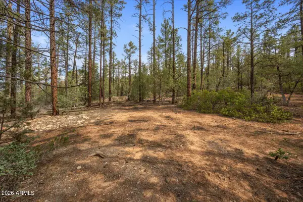 TBD Pine Needle Drive, Show Low, AZ 85901