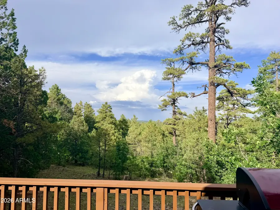 1584 Willow Mountain Road, Happy Jack, AZ 86024 - #2