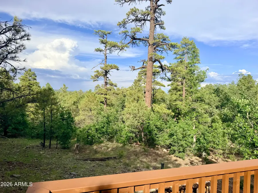 1584 Willow Mountain Road, Happy Jack, AZ 86024 - #3